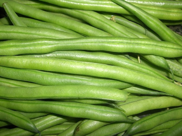 zelené fazolové lusky
